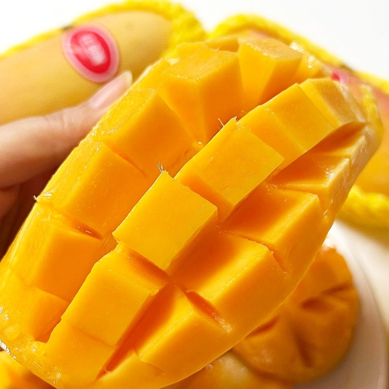 [특가할인] 돌쇠네 자체선별 고당도 태국 무지개망고 마하차녹