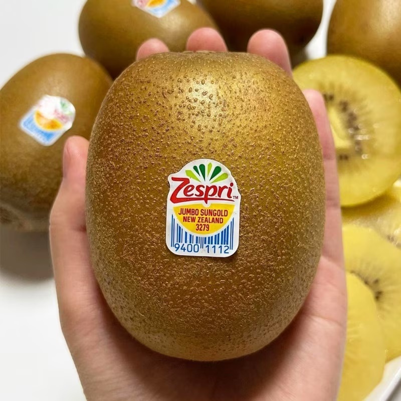 [특가할인] 야구공만한 돌쇠네 왕 점보 골드키위