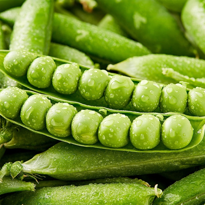 [특가할인] 돌쇠네 자체선별 실속있는 제철 햇 완두콩