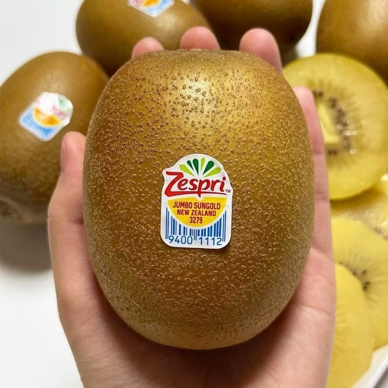 야구공만한 돌쇠네 왕 점보 골드키위