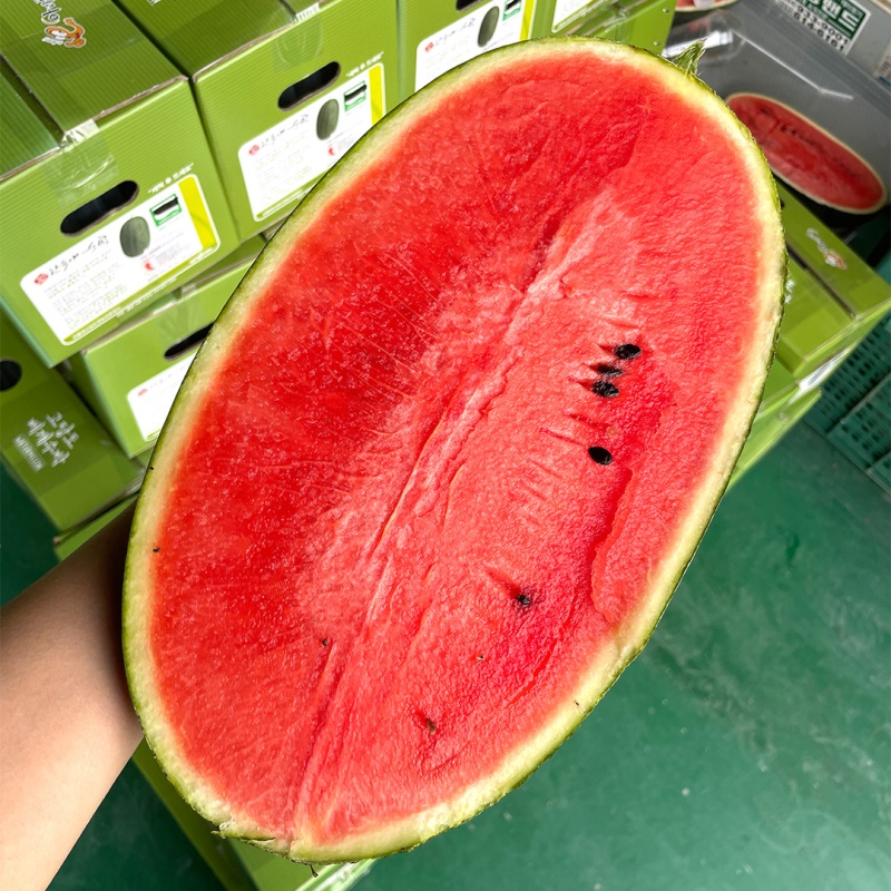 [특가할인] 고당도 꿀수박 함안 베개수박 4kg