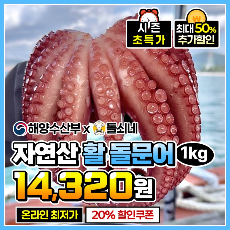 [특가할인] 자연산 남해 활 돌문어 1kg