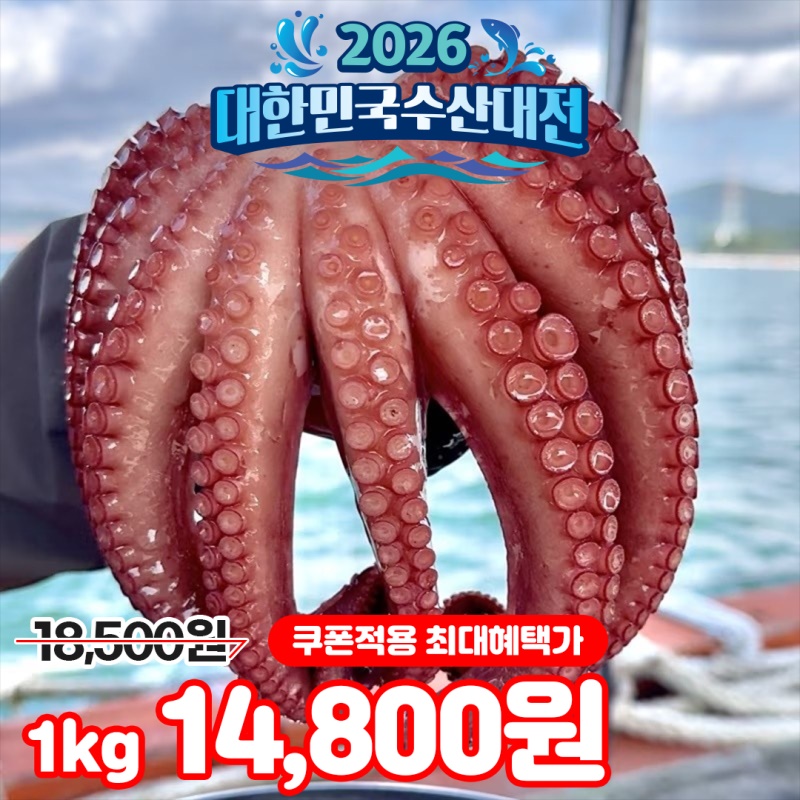 [특가할인] 자연산 남해안 활 돌문어 1kg