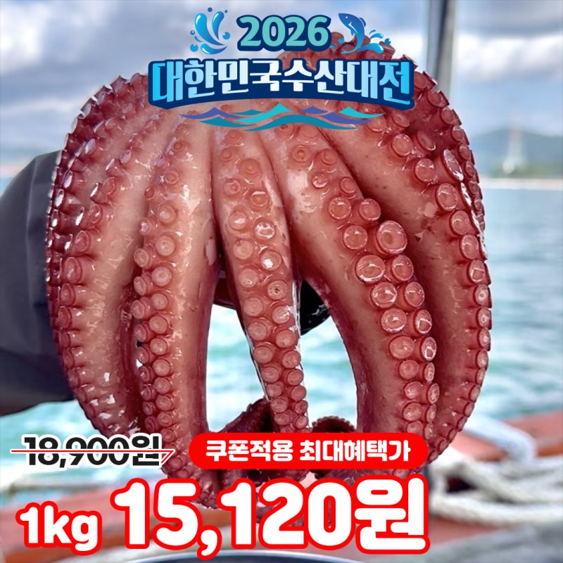 [특가할인] 자연산 남해안 활 돌문어 1kg