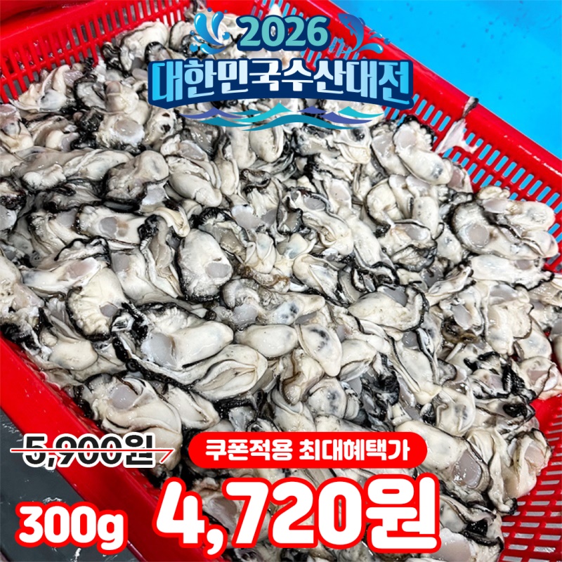 [특가할인] 횟감용 올해 첫 출하 싱싱한 제철 통영 생굴