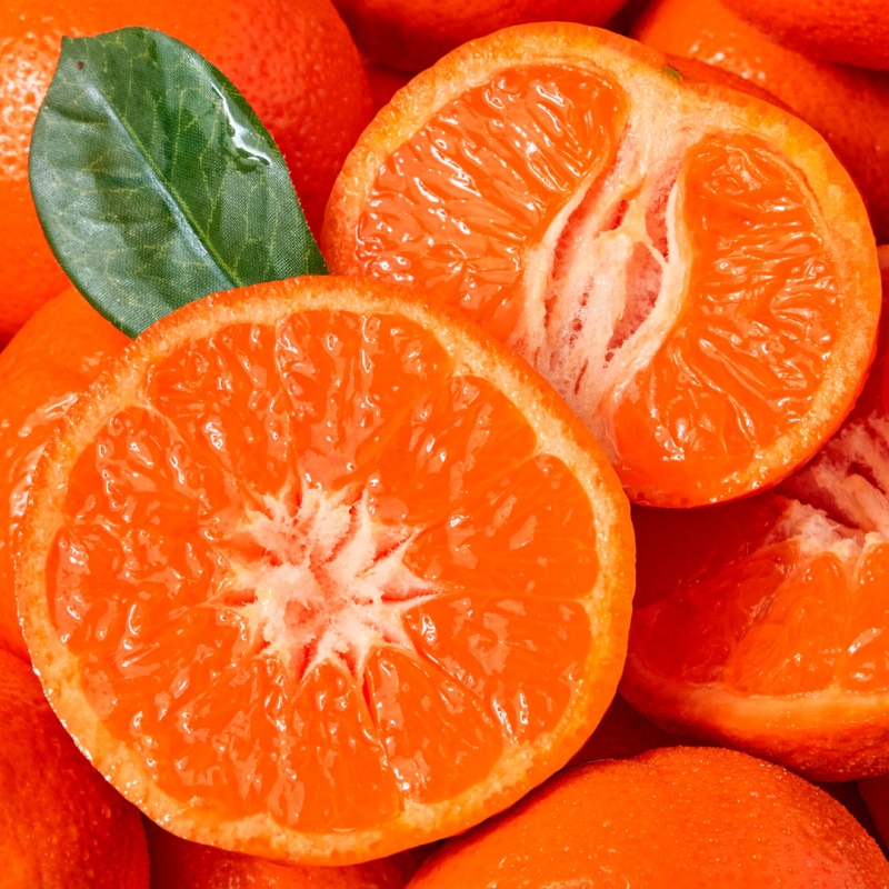 [특가할인] 프리미엄 고당도 만다린 귤 오렌지