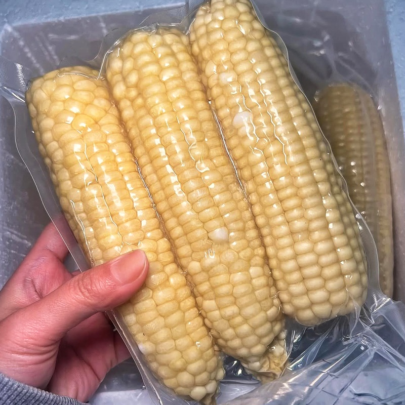 [특가할인] 쫀득한 식감이 좋은 무주 대학 찰옥수수
