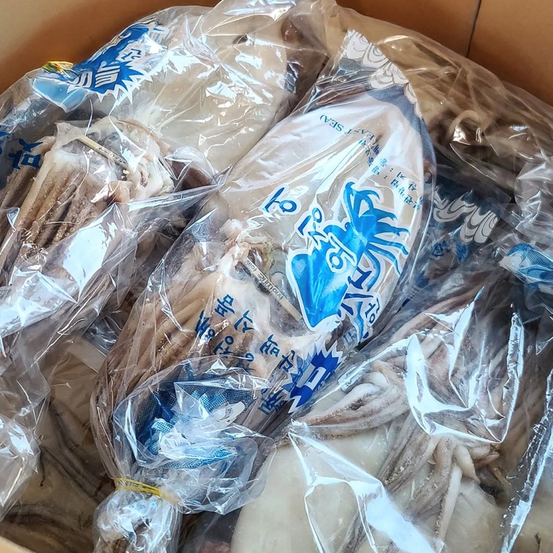 [특가할인] 포항 피데기 반건조오징어 