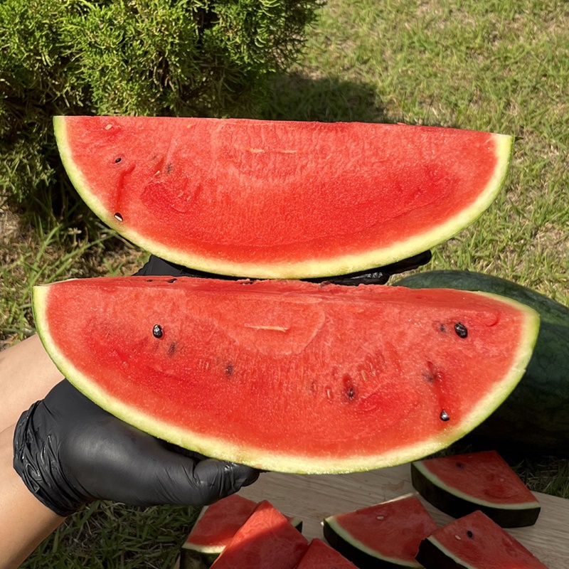 [특가할인] 고당도 꿀수박 함안 베개수박 4kg