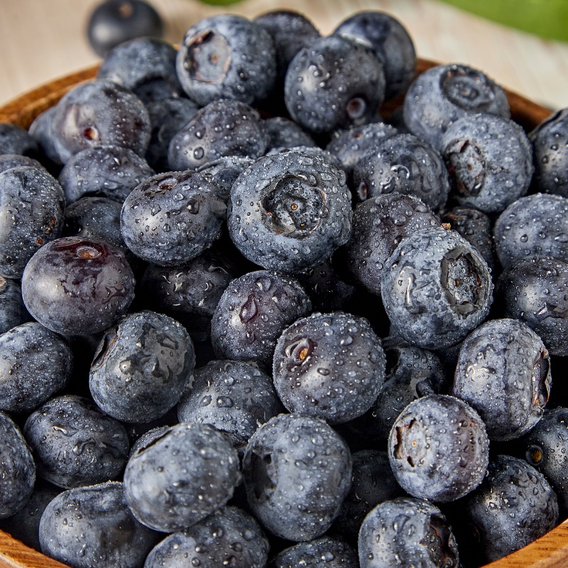 [특가할인] 당도와 과즙이 풍부한 칠레 생블루베리
