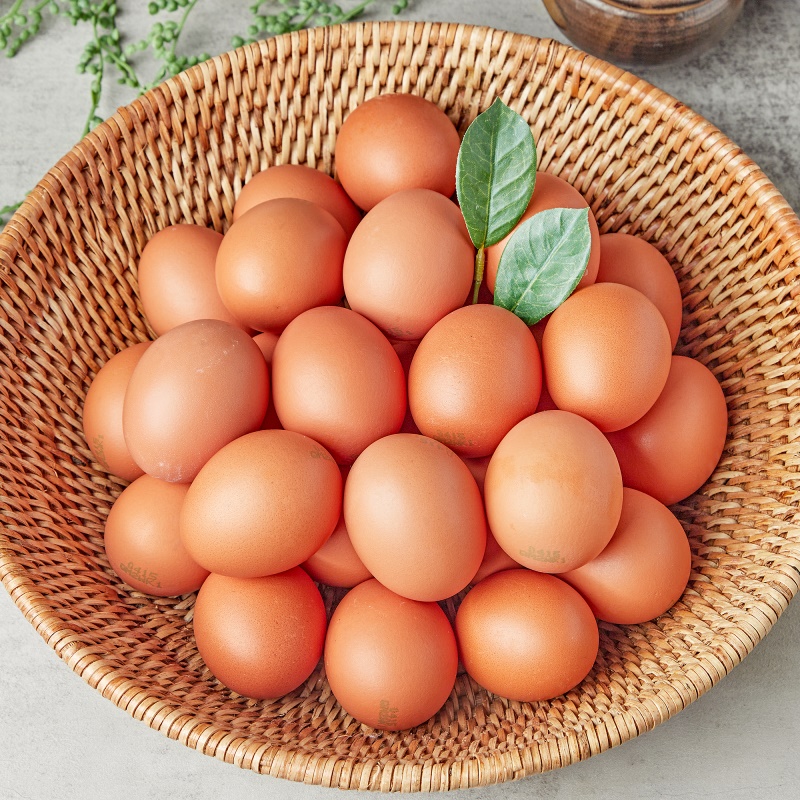 [특가할인] 상위 1% 특급선별 무항생제 건강한 유정란 계란