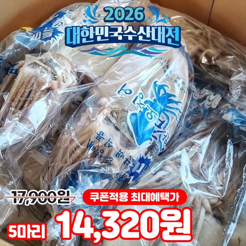 [특가할인] 동해안 당일바리 정품 피데기 반건조오징어 5마리 10마리