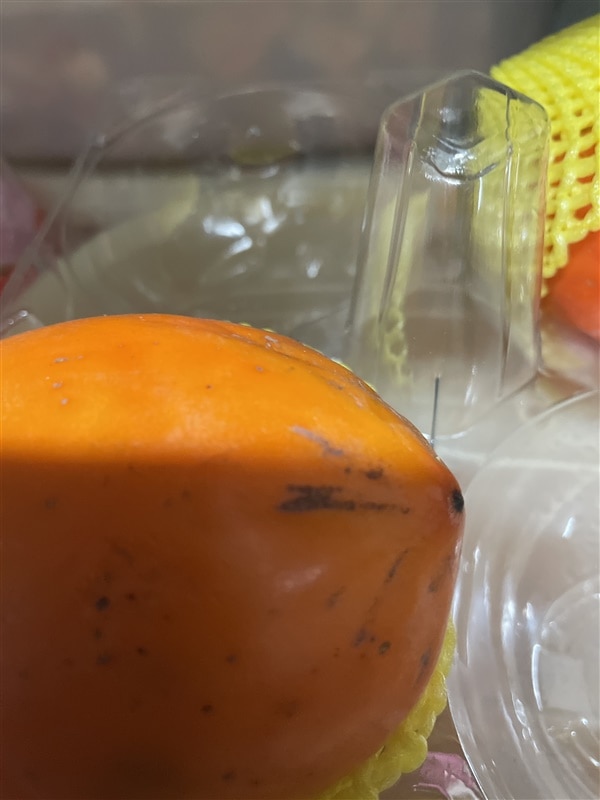 image_20231130053001265오후_1.jpg